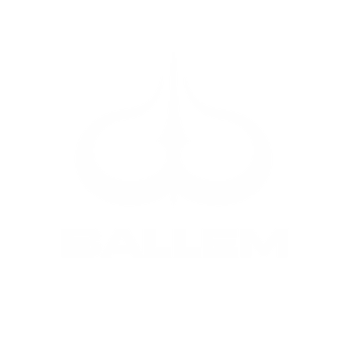 ballem-logo-marchio.webp__PID:412fde2a-51aa-4201-a5ec-b40611e9d77d